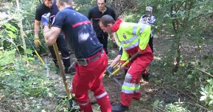 Tournefeuille - HAUTE-GARONNE - TOURNEFEUILLE - Les pompiers sauvent un chien coincé sous terre depuis 20 heures