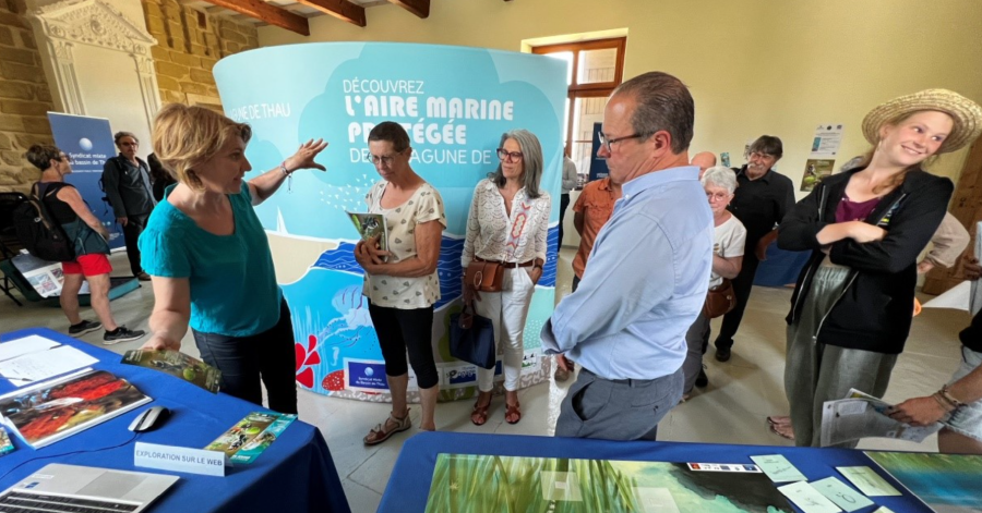BASSIN DE THAU - Aire Marine Protégée de la lagune de Thau : L'exposition participative itinérante du SMBT fait une halte à Balaruc-les-Bains !