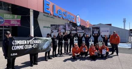 Hérault - Embargo - 14/09, Mauguio| Enquête L214 : action devant le magasin E.Leclerc