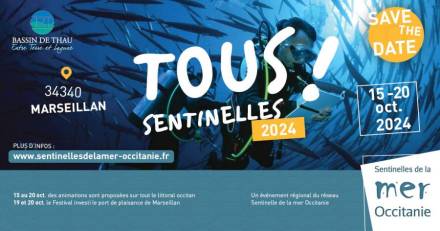 MARSEILLAN - Le festival Tous Sentinelles revient pour sa 6ème édition du 15 au 20 oct. 