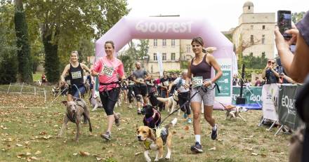 Villevieille - Woofest, le 1er festival pour les amoureux de chiens débarque dans le Gard