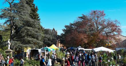 Colomiers - Festi jardin Nature et Plantes