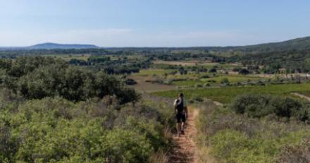 MONTBAZIN - Jolie récompense pour la commune de Montbazin élue  Meilleure commune pour la biodiversité 2024 