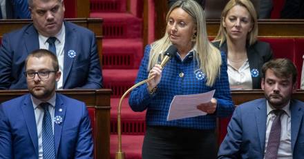 Tarn et garonne - Retraites : seul le RN vote l'abrogation de la réforme Macron