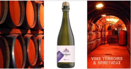 Vins & Spiritueux - Perla, un nouveau pétillant naturel exclusif parmi les beauttés de Castigno...