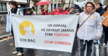 Béziers - Le COLBAC se mobilise pour la Journée Internationale pour les Droits des Animaux