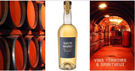 Vins & Spiritueux - La distillerie MAISON FLUIDE lance Santi Mario la première eau de vie à base de riz made in Camargue