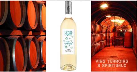 Vins & Spiritueux - Les Vignerons Créateurs : une Tradition de Qualité et d'Innovation depuis 100 ans